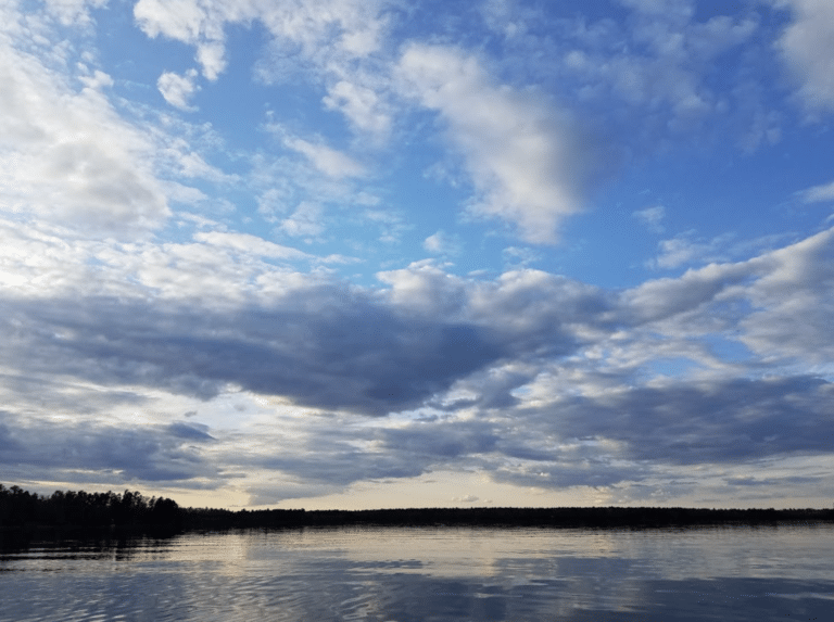 The search and the surrender to authenticity