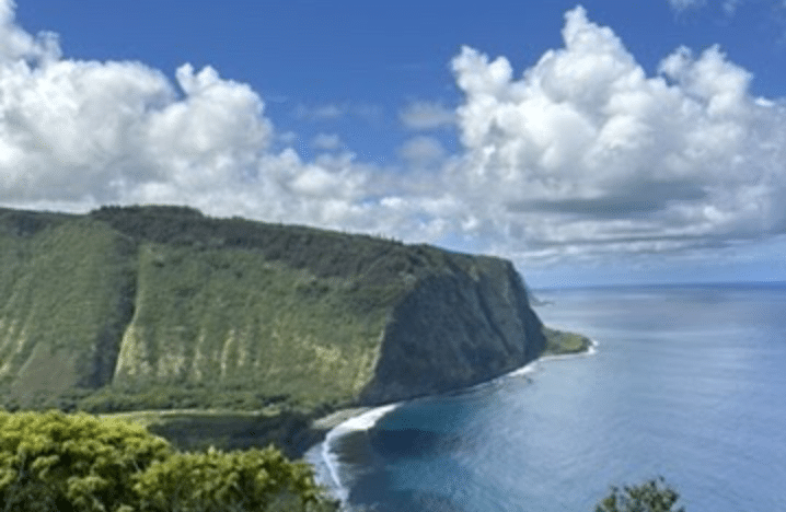 timone davis: peace and paradox