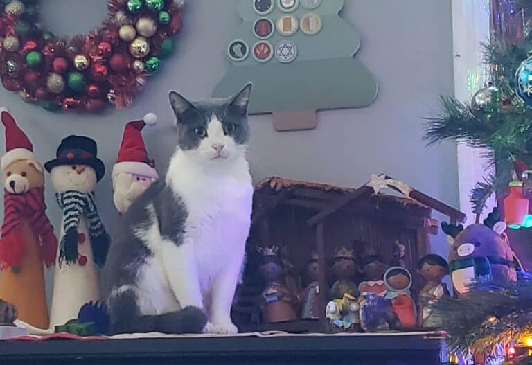 When You Don’t Want to Look Back (and the Examen that meets you there)