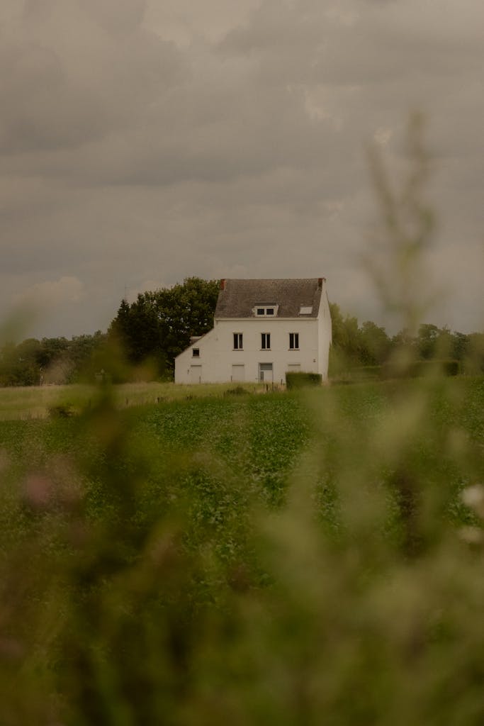 A tranquil countryside scene with a solitary house amidst lush greenery and cloudy skies.