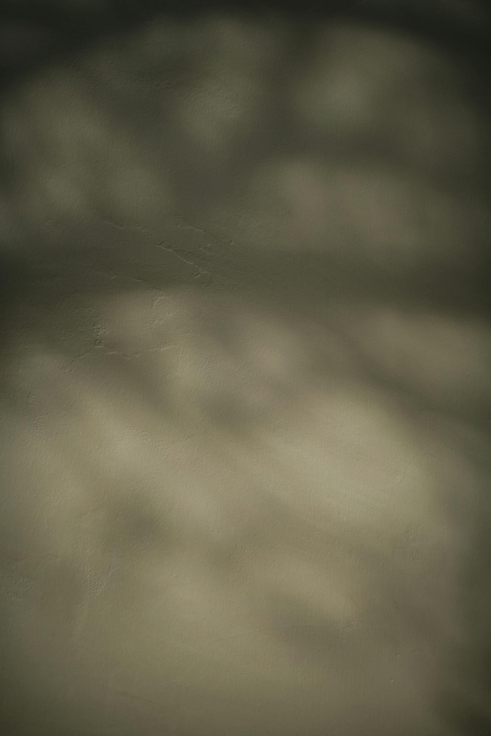 Blurred abstract texture with defocused shadows and gentle hues, ideal for creative backdrops.