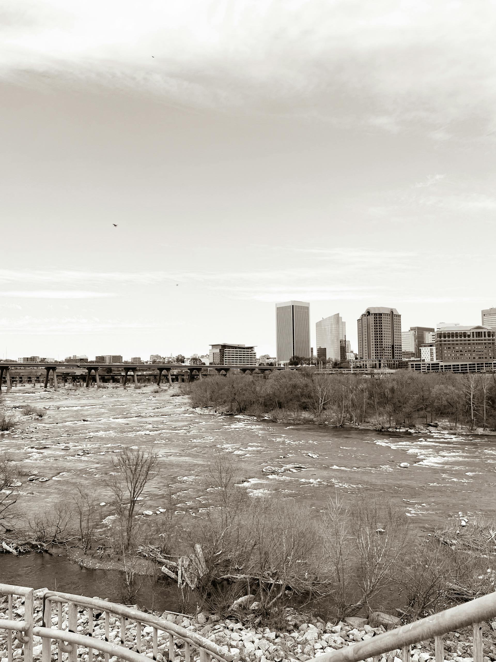 Monochrome view of Richmond skyline and James River with winter's icy touch.