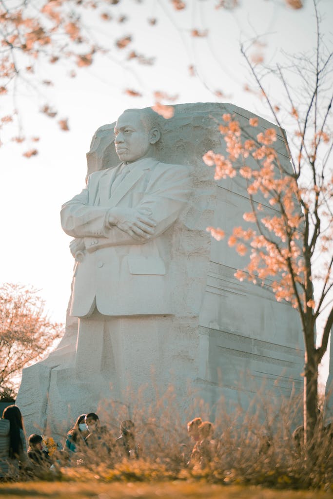 Statue of Martin Luther King Jr. with cherry blossoms at sunset.